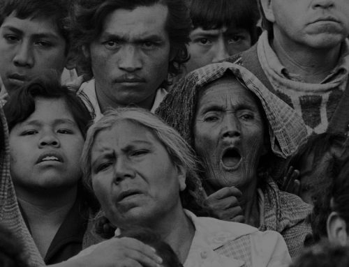 El lugar donde anidan los sobresaltos