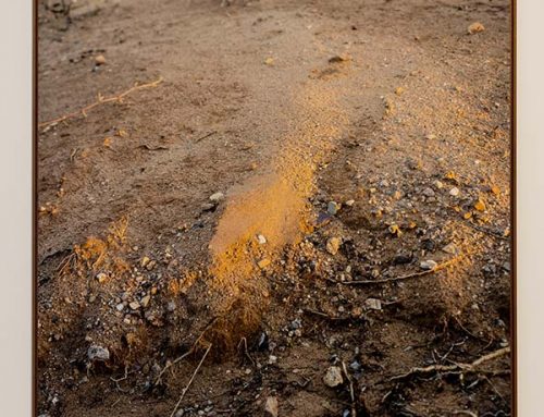 La Sombra de la Tierra