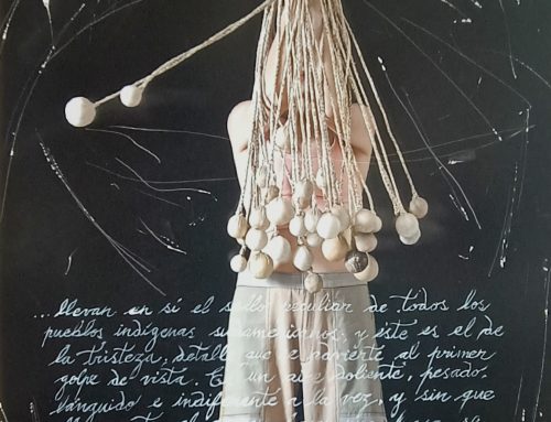 Choiols, La huella del Ñandú en el cielo